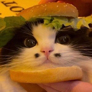 Meet your Posher, Nhi